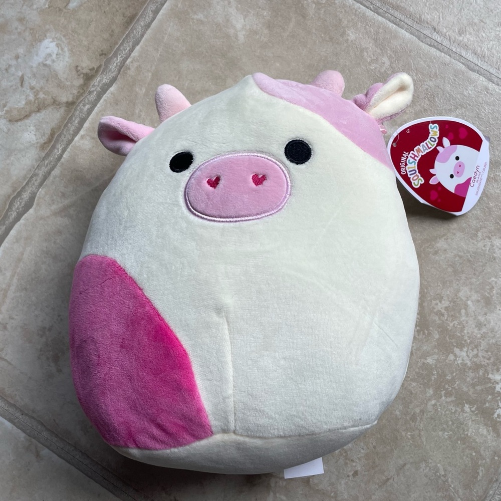 SOLD Caedyn squishmallow